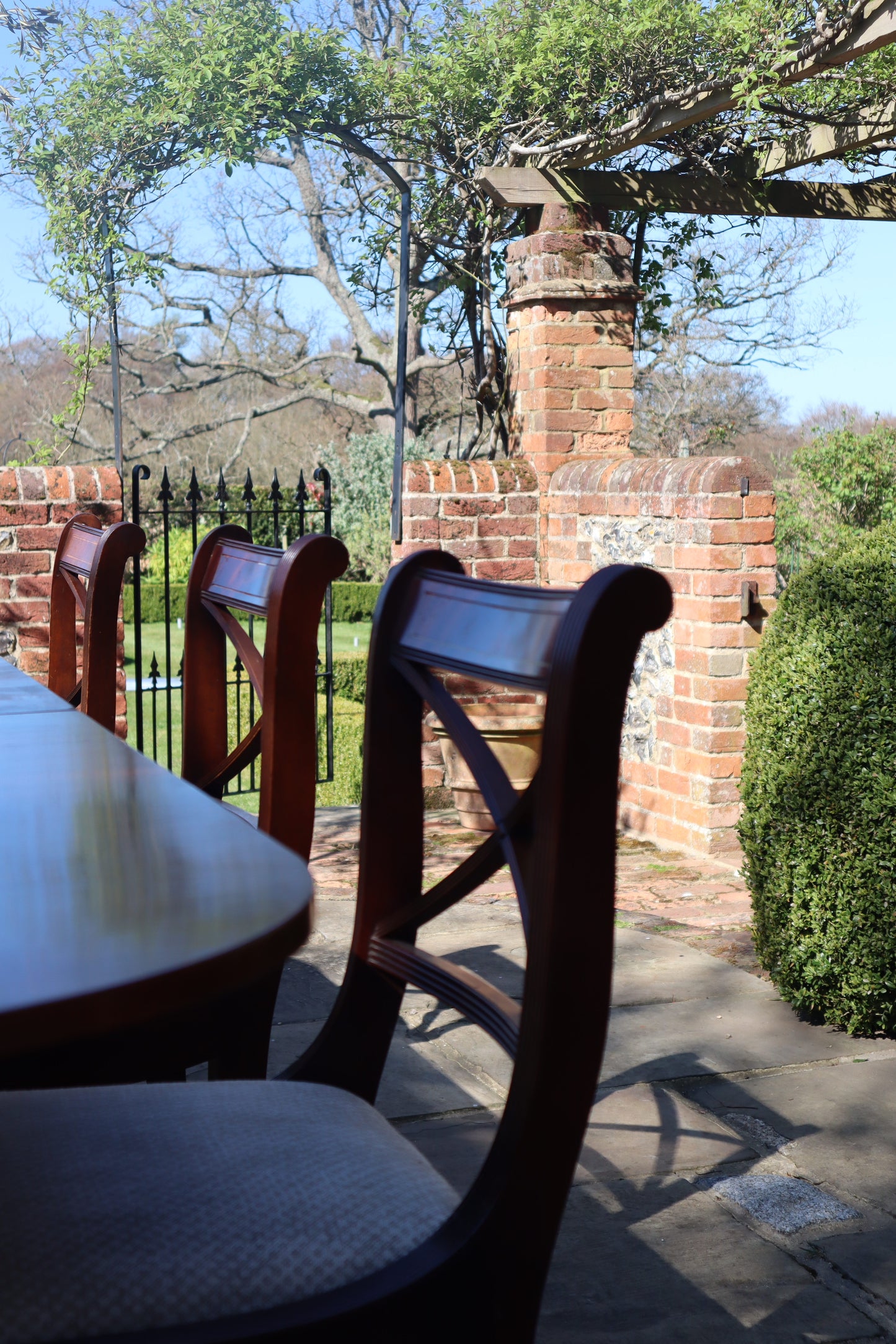Set of mahogany dining chairs