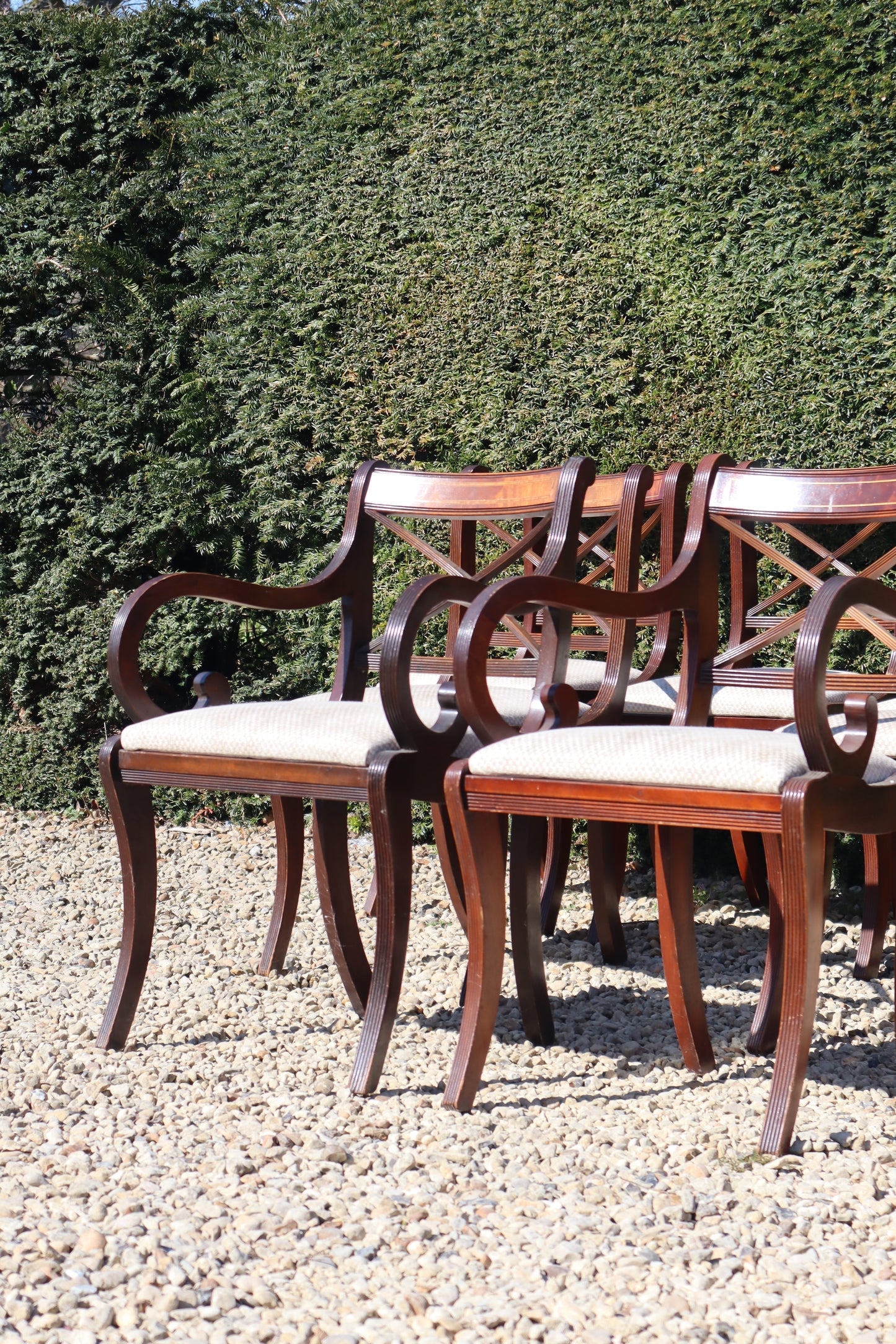 Set of mahogany dining chairs