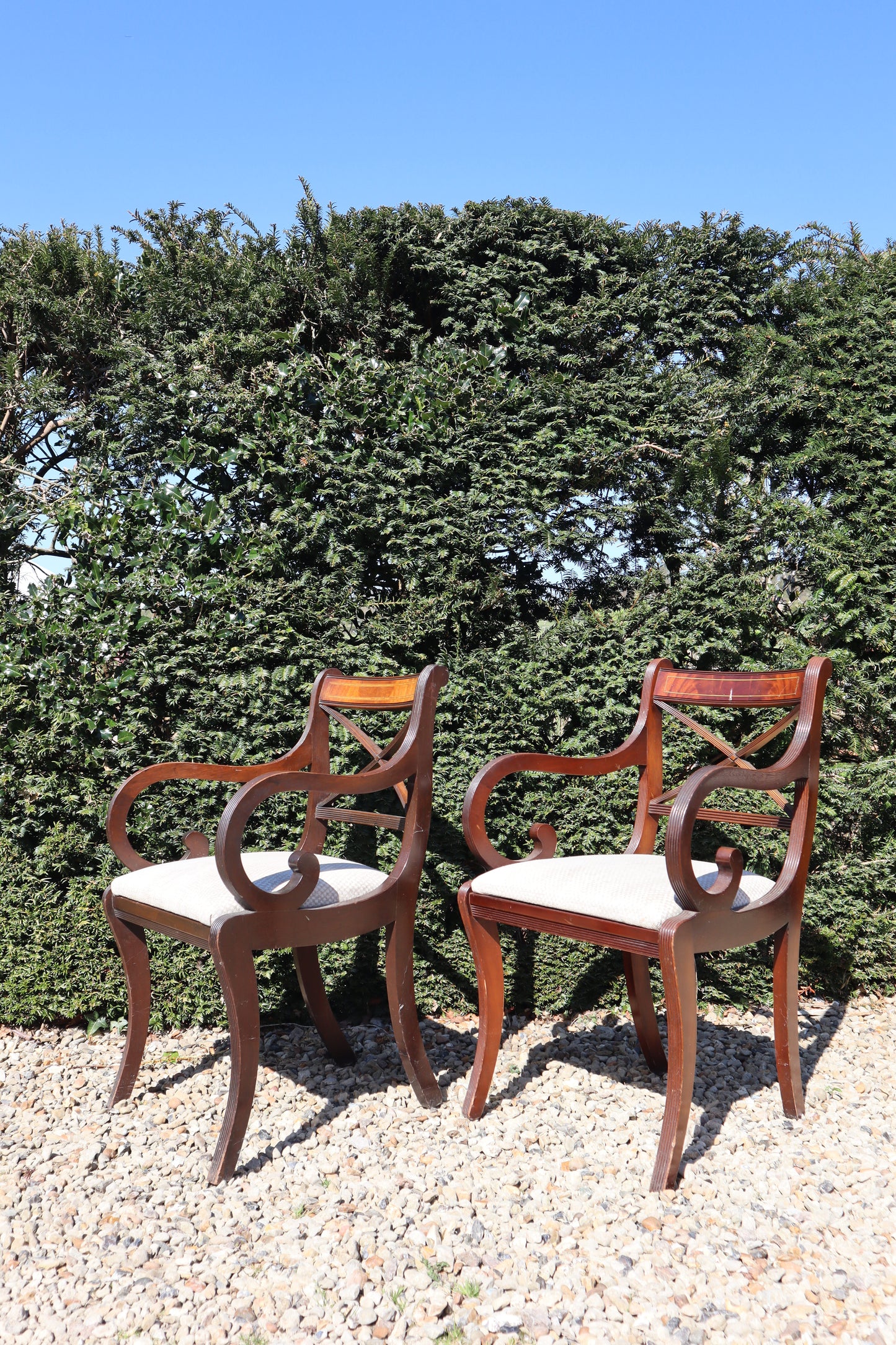 Set of mahogany dining chairs