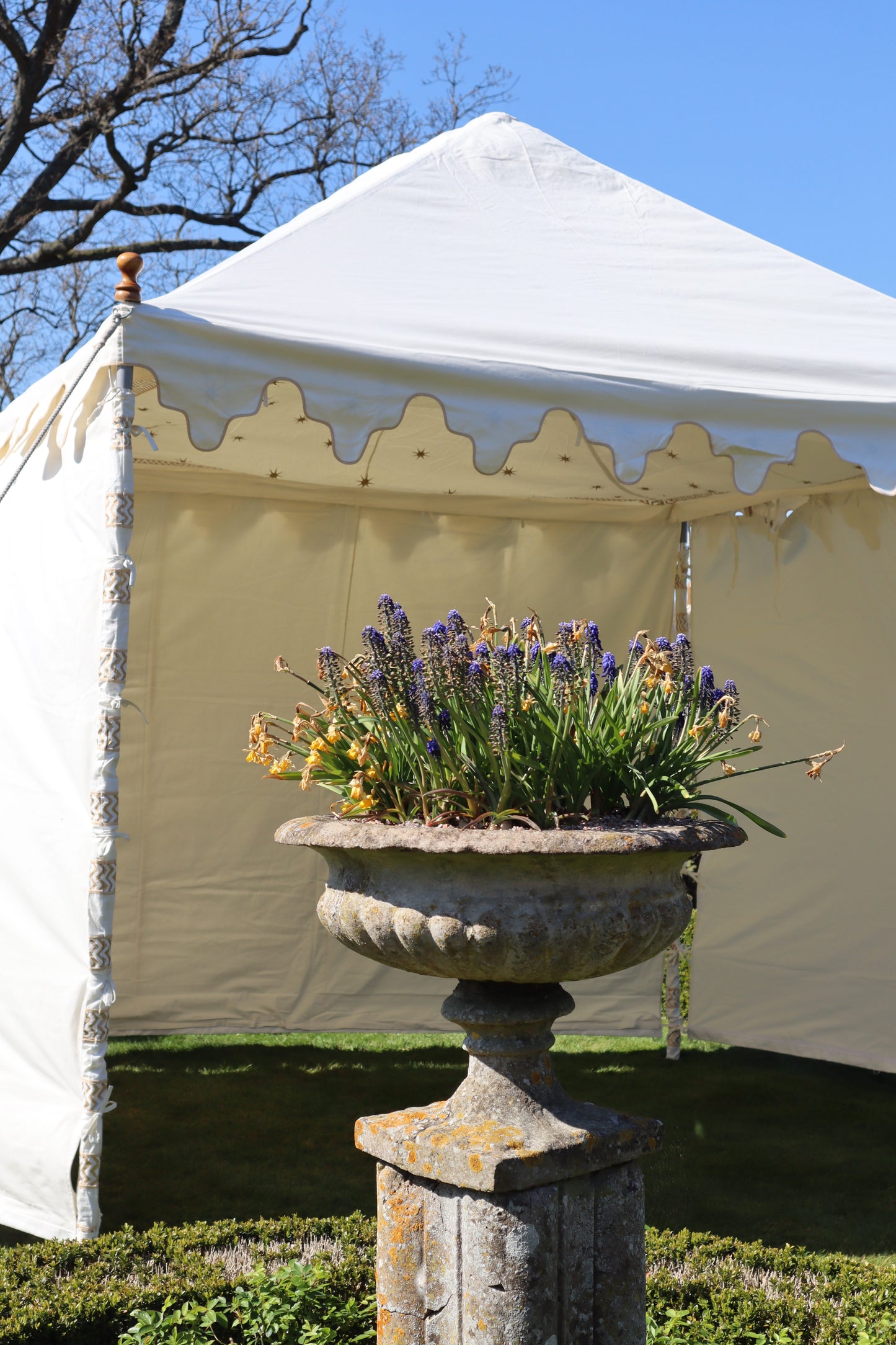 Tent or gazebo