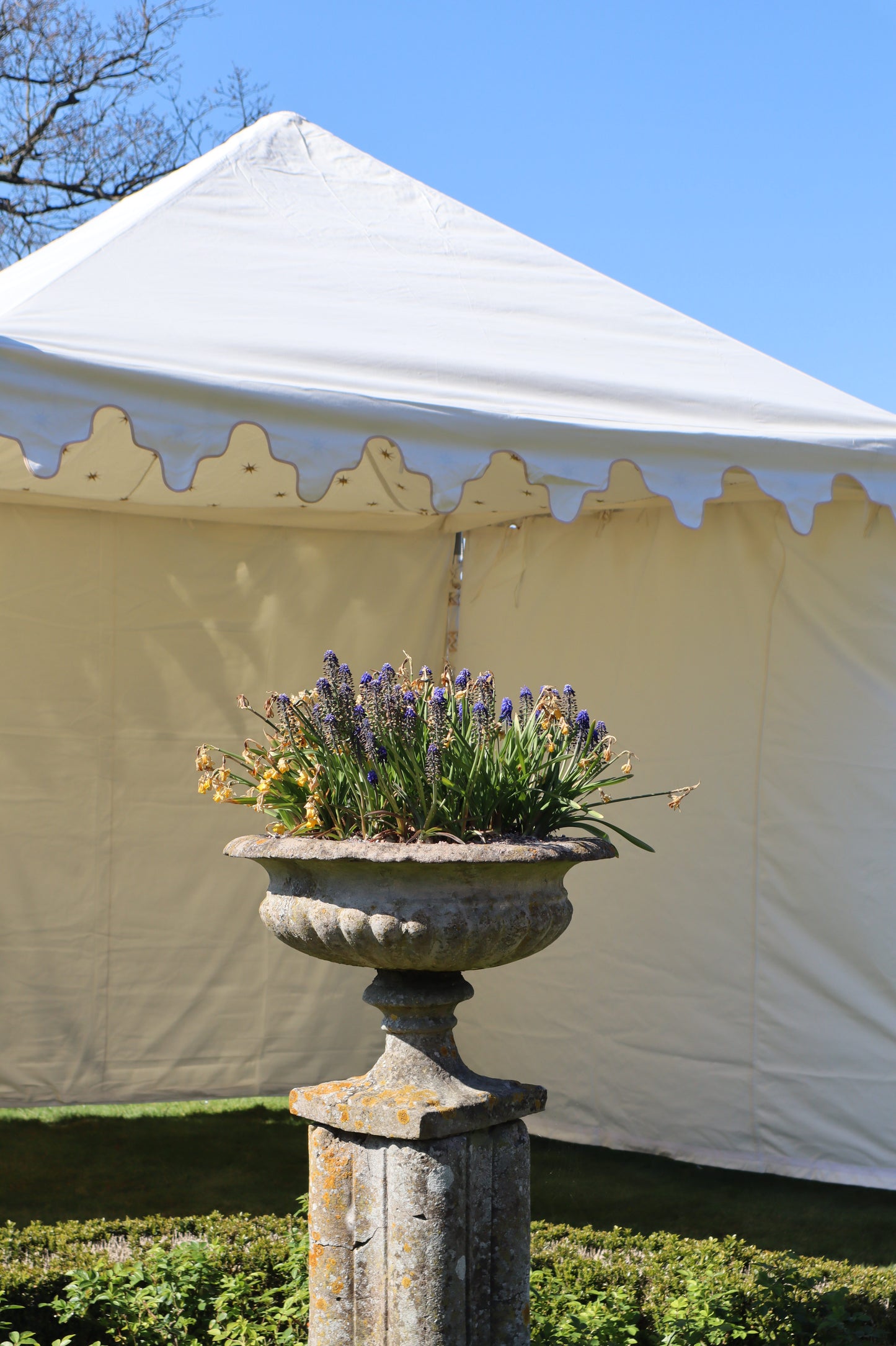 Tent or gazebo