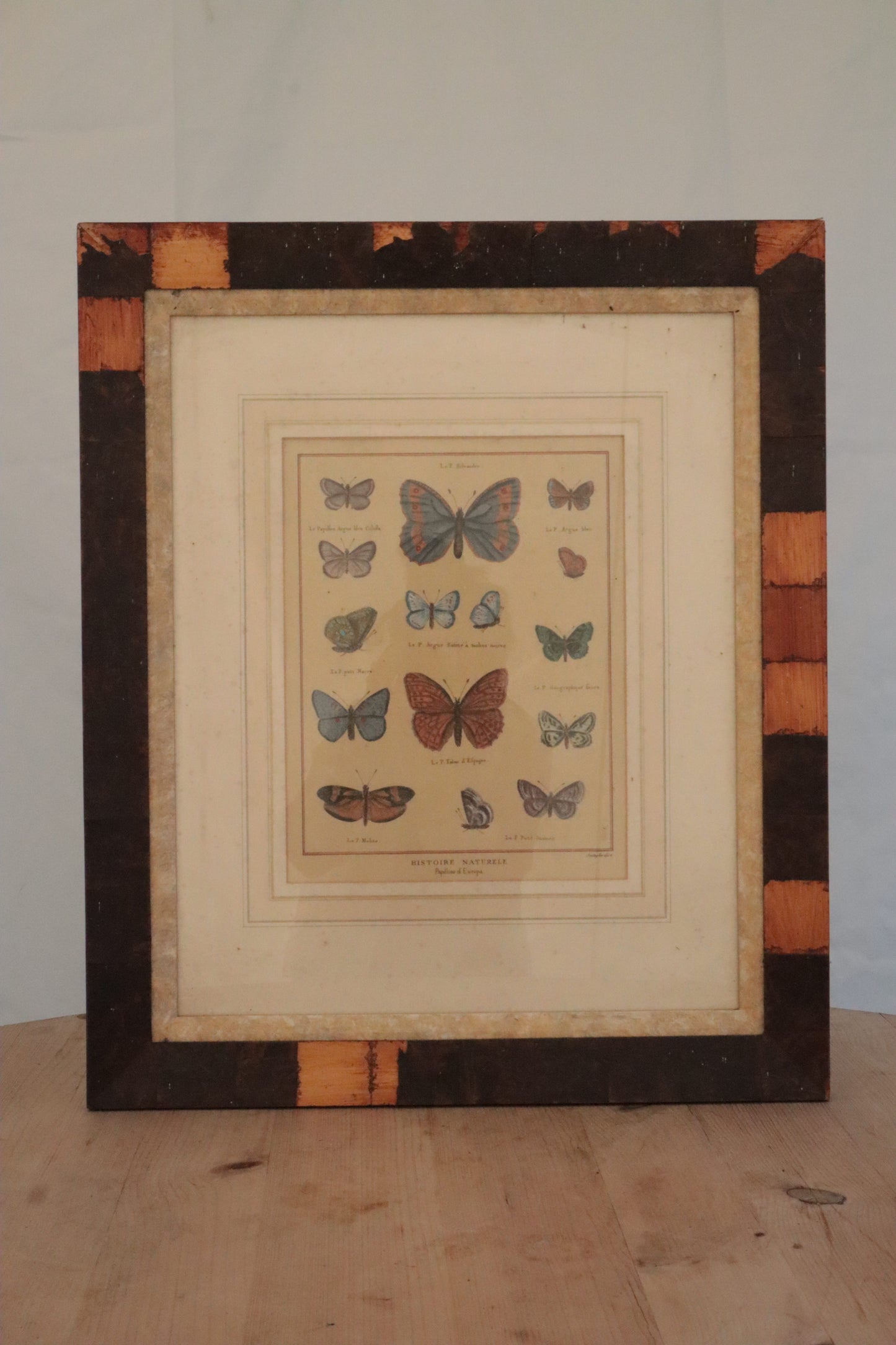 Pair of prints of butterflys
