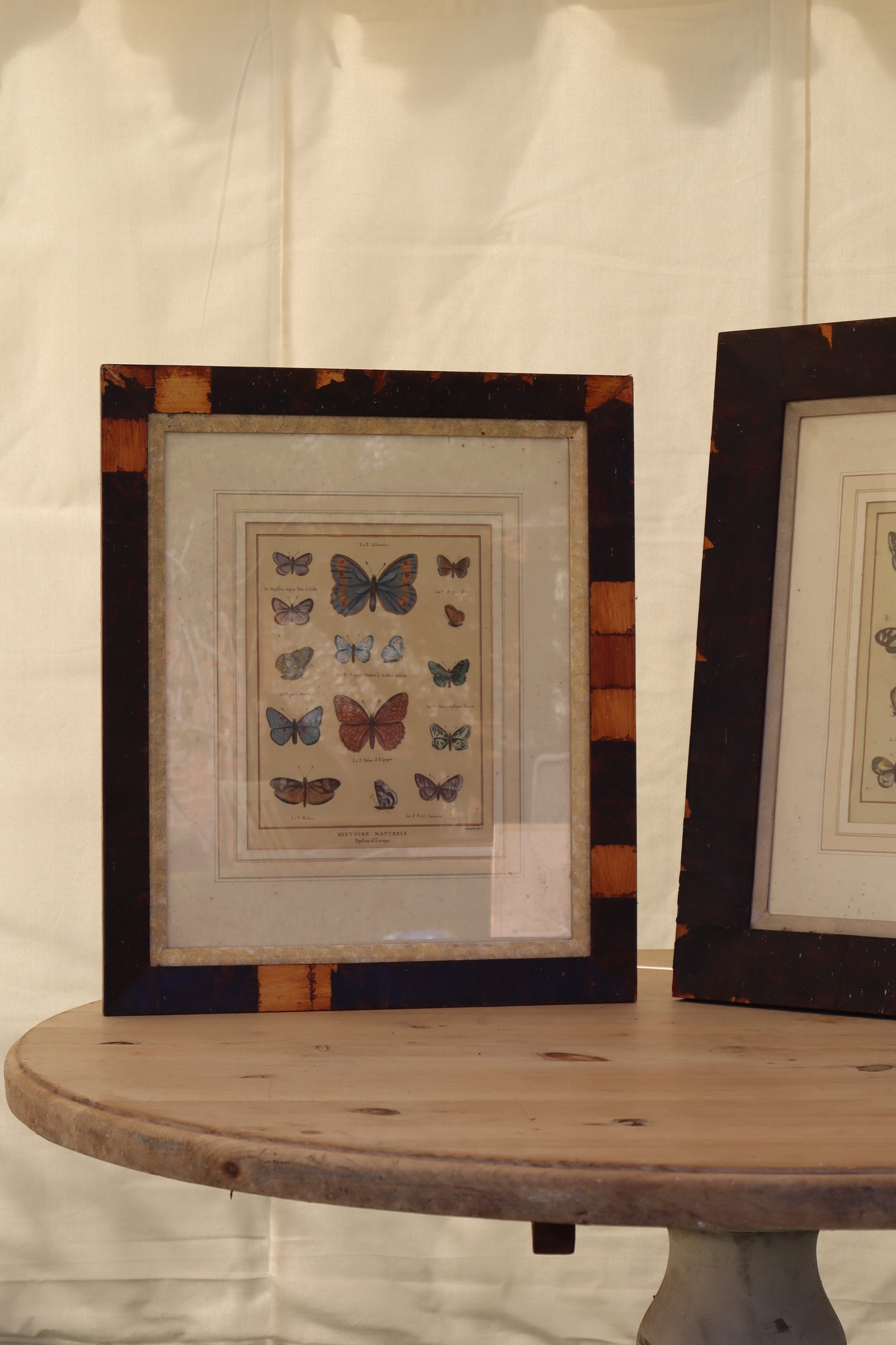 Pair of prints of butterflys