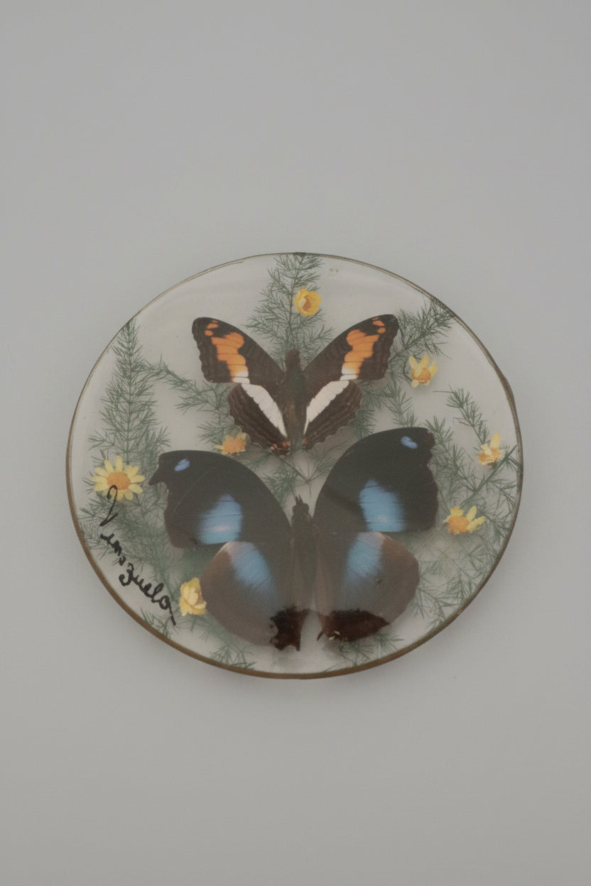 A circular piece of glass with a pair of butterflys inside, surrounded by a brass frame, displayed on a wooden surface.
