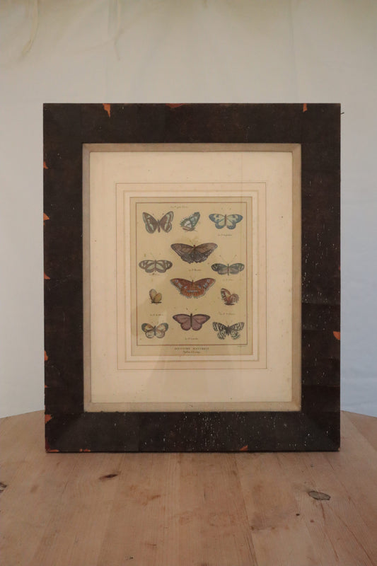 Pair of prints of butterflys